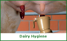 Dairy Hygiene